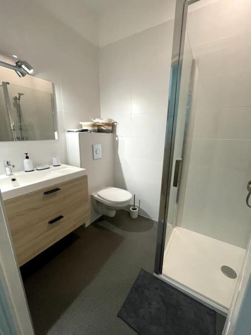 נים Superbe Appartement Cosy Avec Jardin מראה חיצוני תמונה